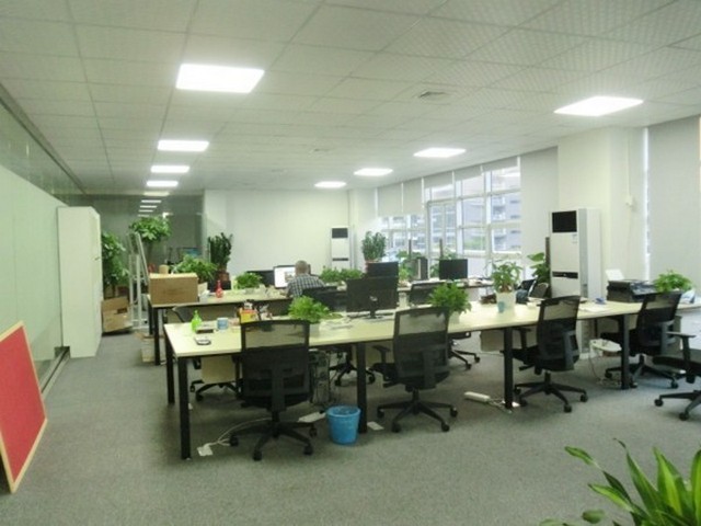 石狮纯碱批发商