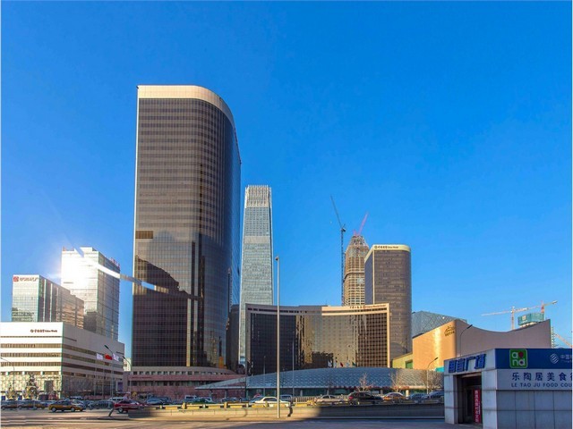 福田宠物活动哪家好