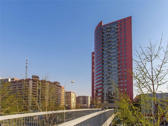 北京日本进口桧木原木建材