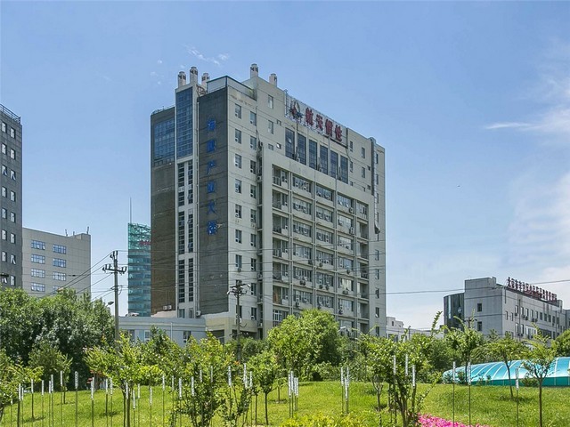 崇明区悬臂式提升输送机生产厂